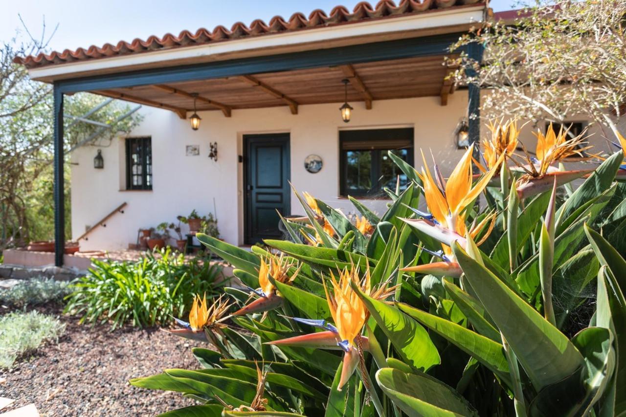 Live La Laguna Casita Vieja Kültér fotó