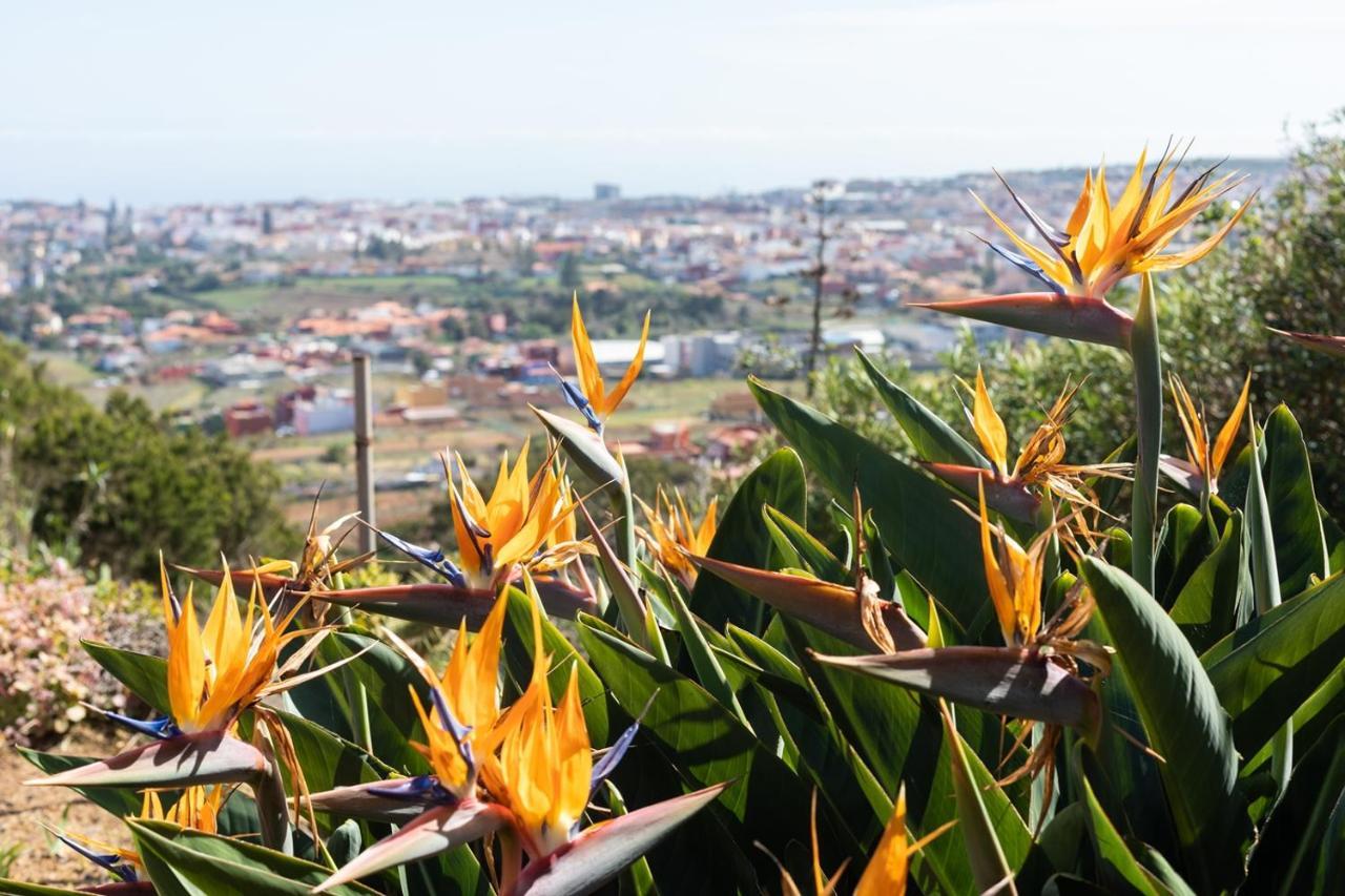 Live La Laguna Casita Vieja Kültér fotó